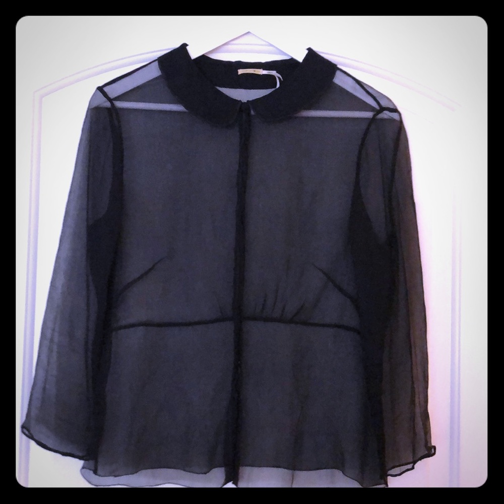 Sheer Black Silk Blouse